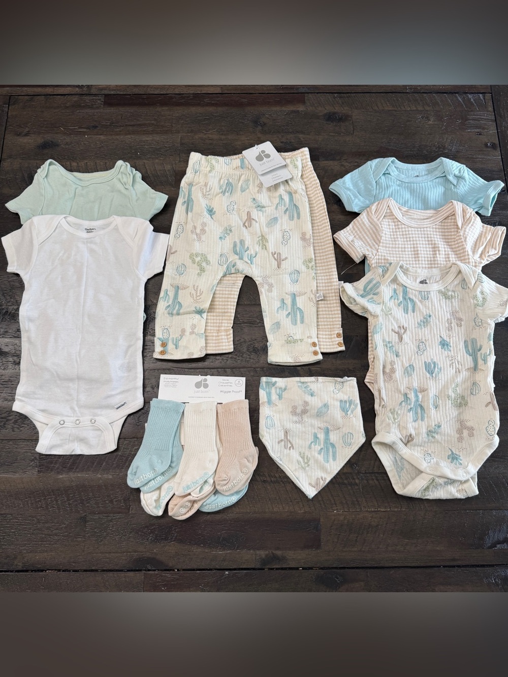 6-9m Baby Boy Cactus Mix & Match Bodysuit Pants Bib Socks Lot | Just Born Gerber